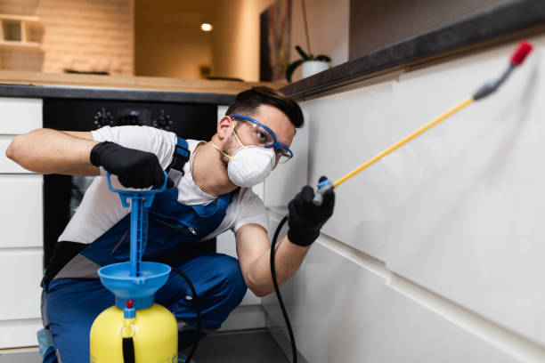 Best Affordable Pest Control Services  in Falmouth, VA