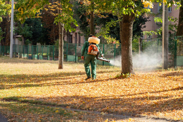 Best Local Pest Control Services  in Falmouth, VA