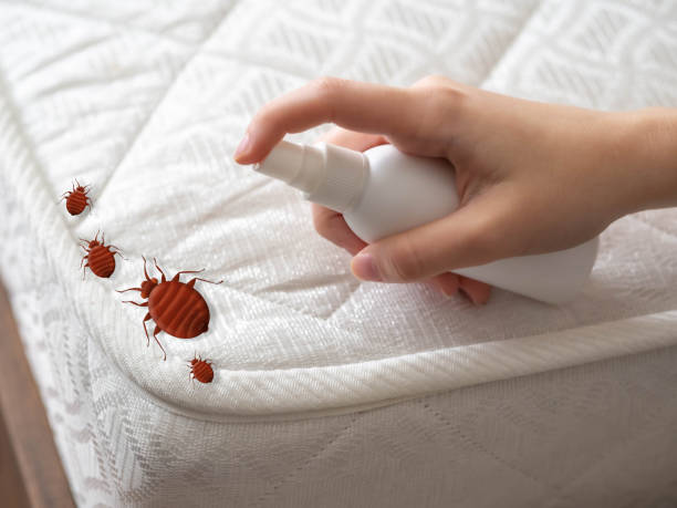 Best Pest Inspection Near Me  in Falmouth, VA