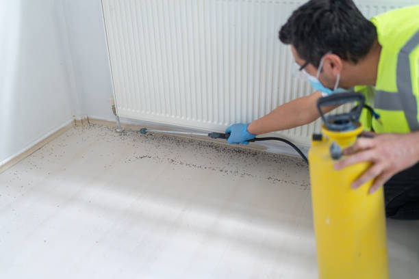 Best Bed Bug Extermination  in Falmouth, VA
