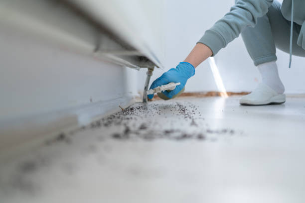 Pest Control Cost in Falmouth, VA